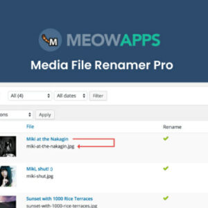 Media File Renamer Pro 6.0.6